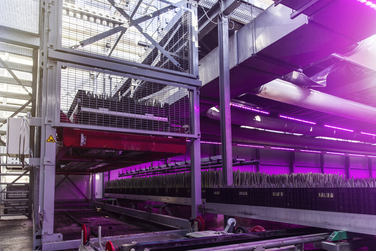 Vertical Farming